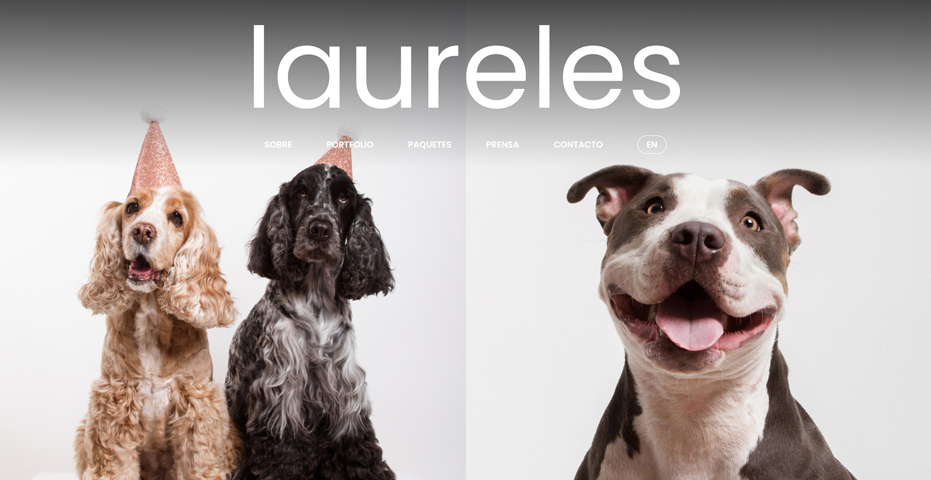 Laureles - Web