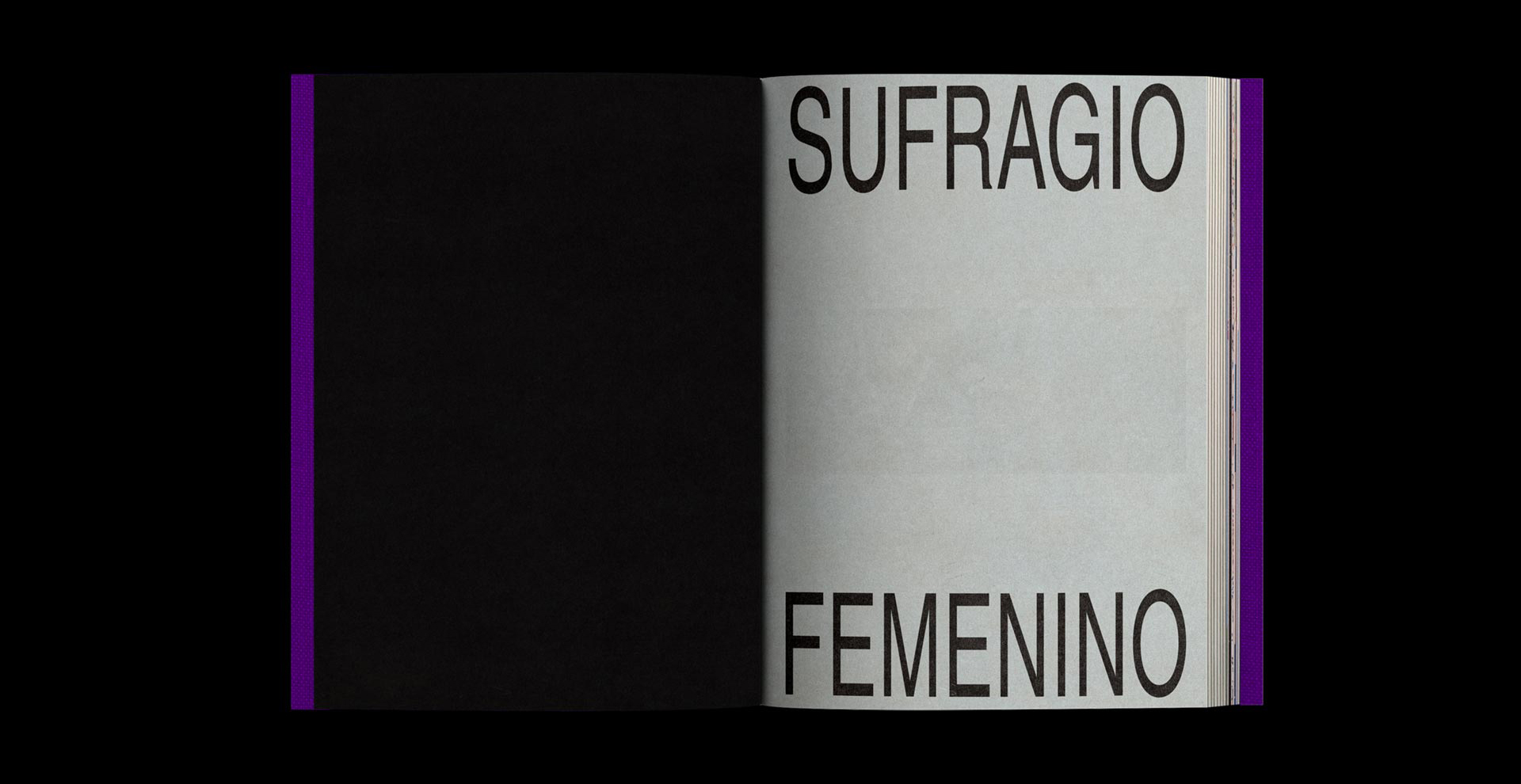 Sufragio Femenino - Image 5